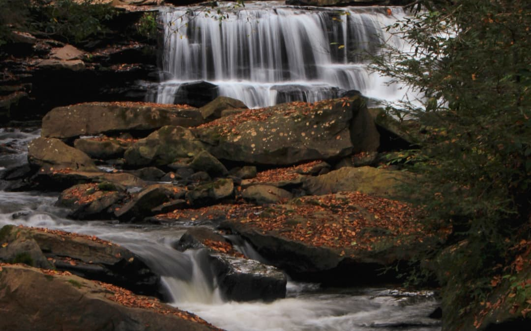 Explore Masontown, West Virginia: Nature, Neighborhood Vibes, and Local Flavor