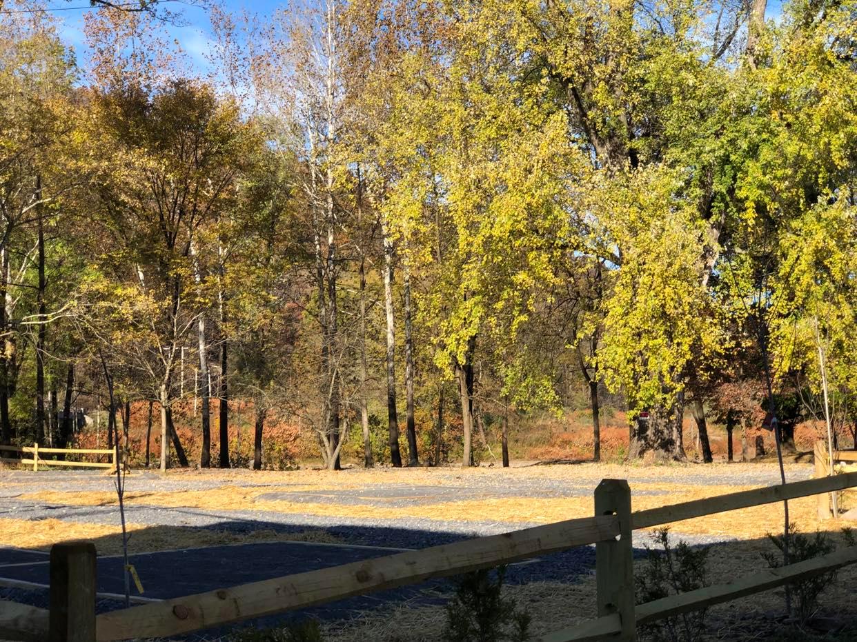 335940137 949579663069134 3559299701243960660 n