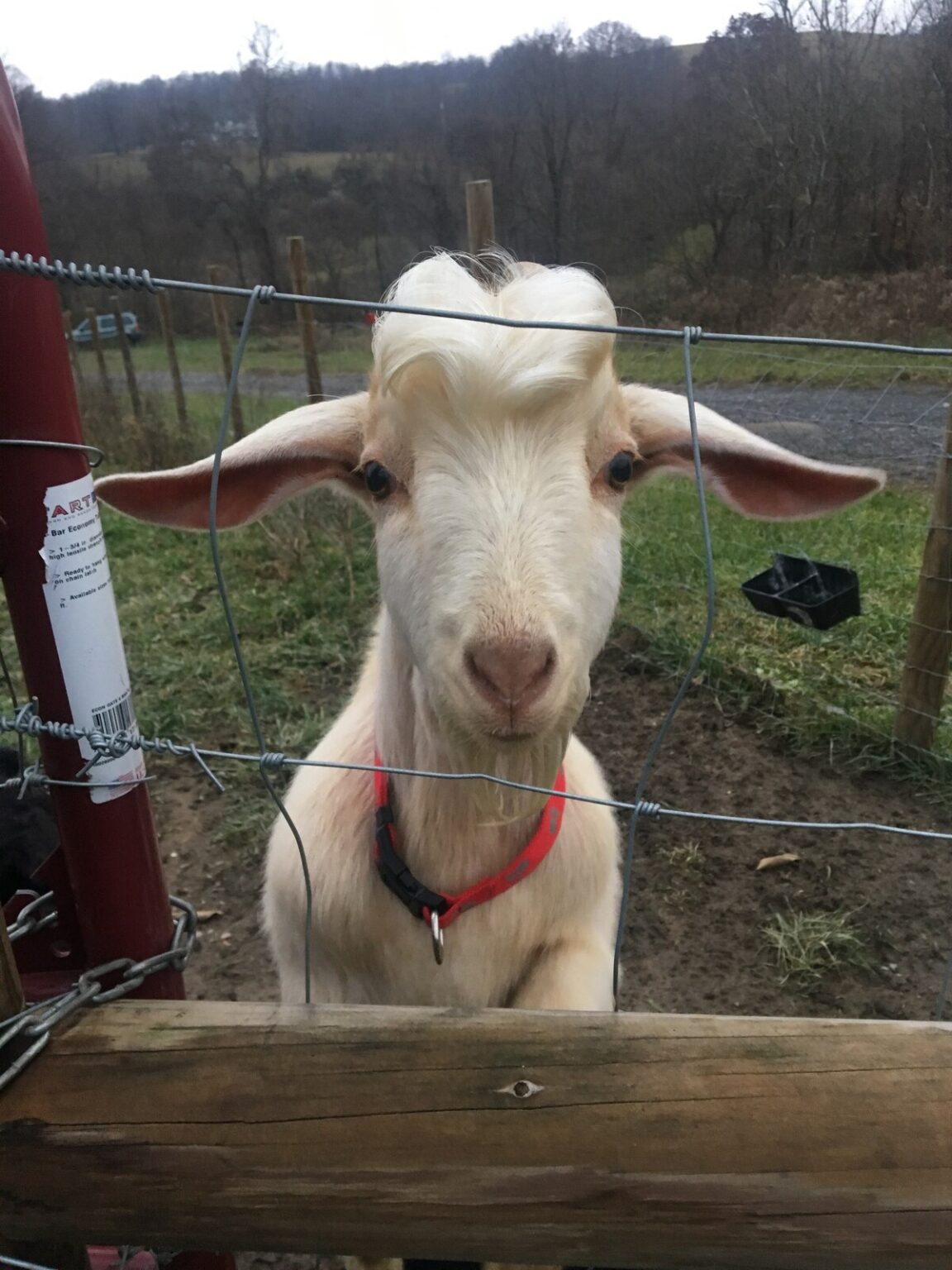 65db538f c2af 485e 8397 8c650784bbaa 1152x1536