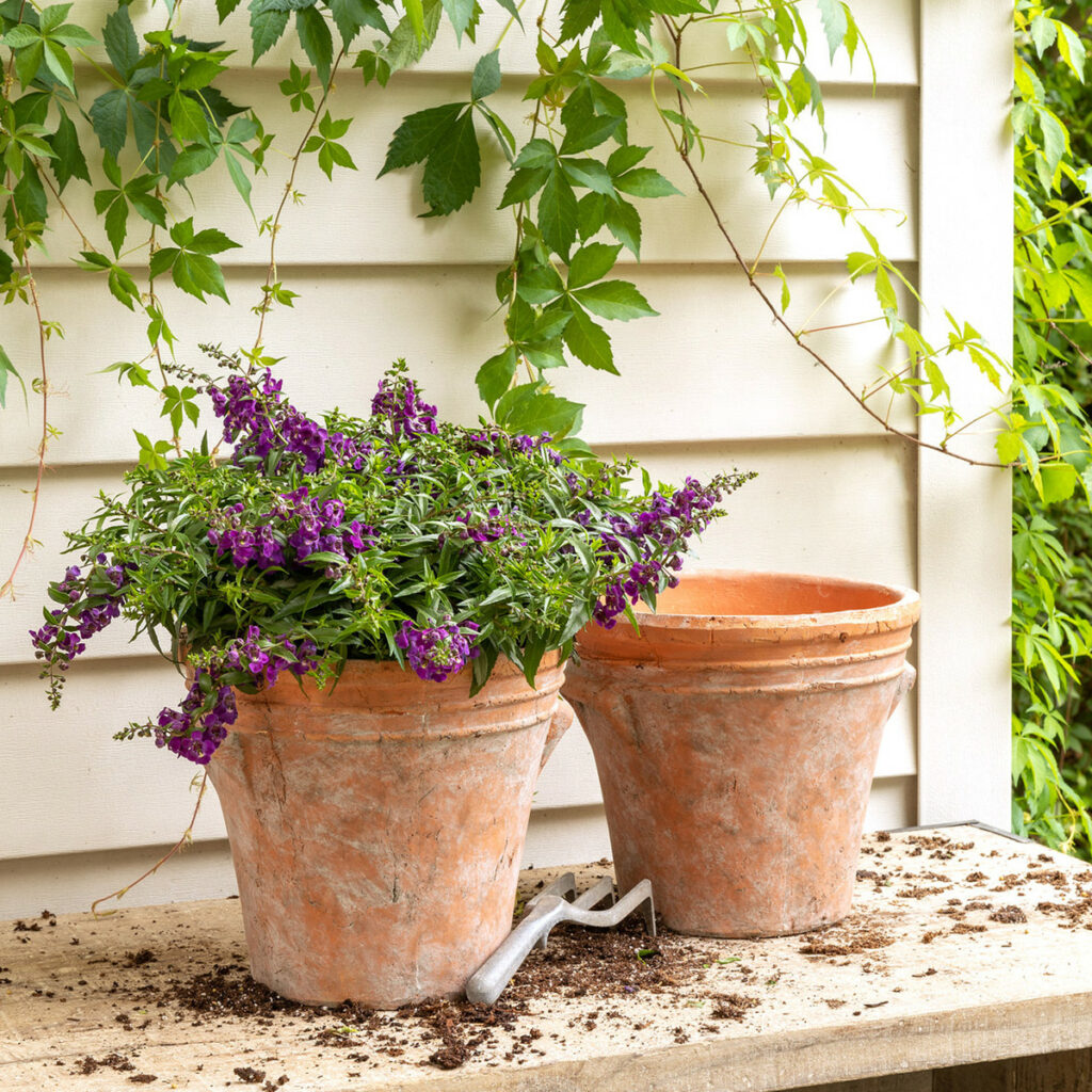 275603752 10160129250467940 2533583802549692672 n 1024x1024 1