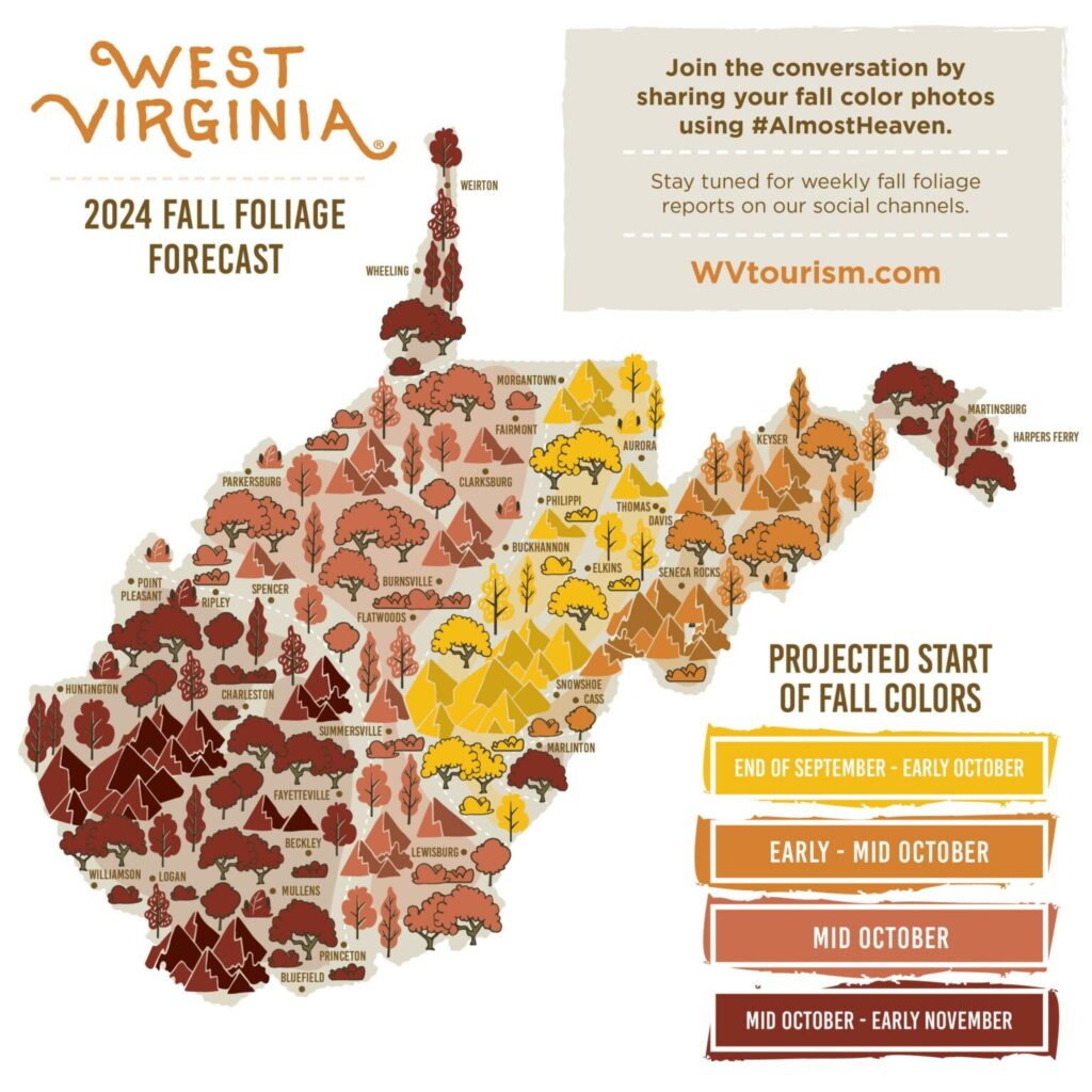 454769375_899239742241260_5819362503856565844_n-1536×1536-1-1024×1024