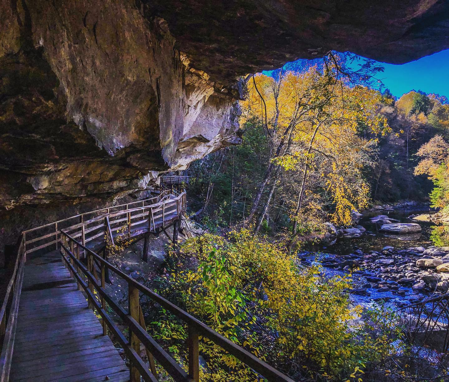 sasquatch_girl-Instagram-3205-ig-18153787777079754