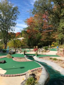 121017222 2495971884036390 4517728221839935325 n 225x300 1