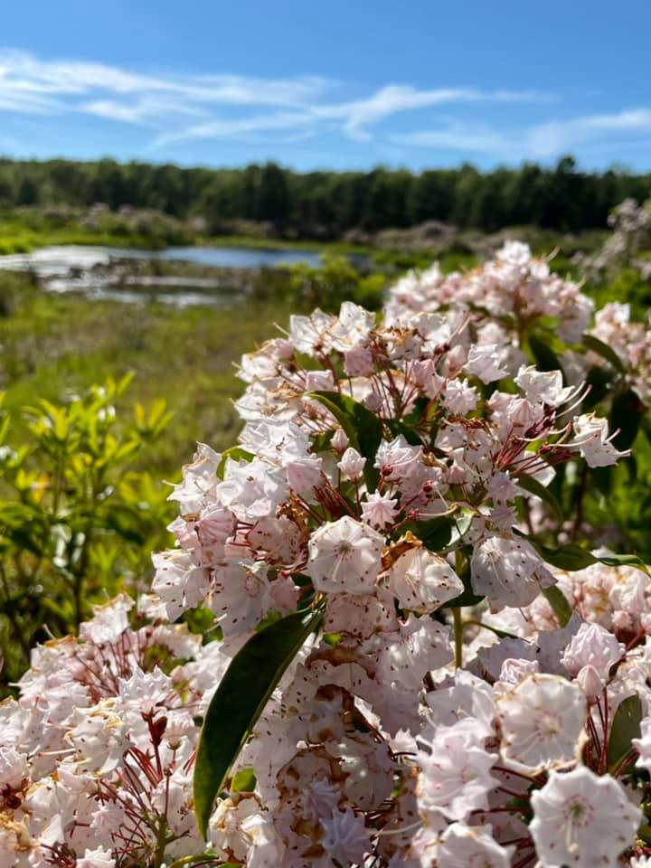 201404997 4663620300332940 5146980197032034790 n