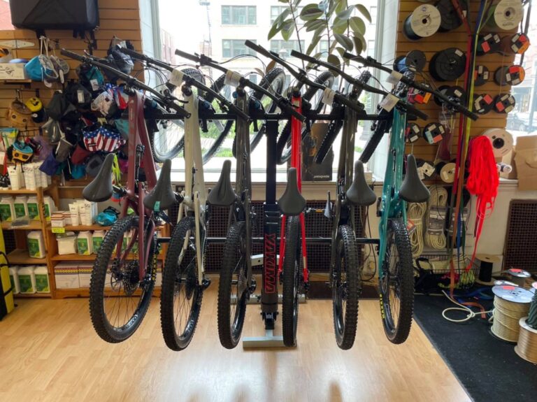 236004710 10158733978167739 7405975873693703022 n 1 768x575