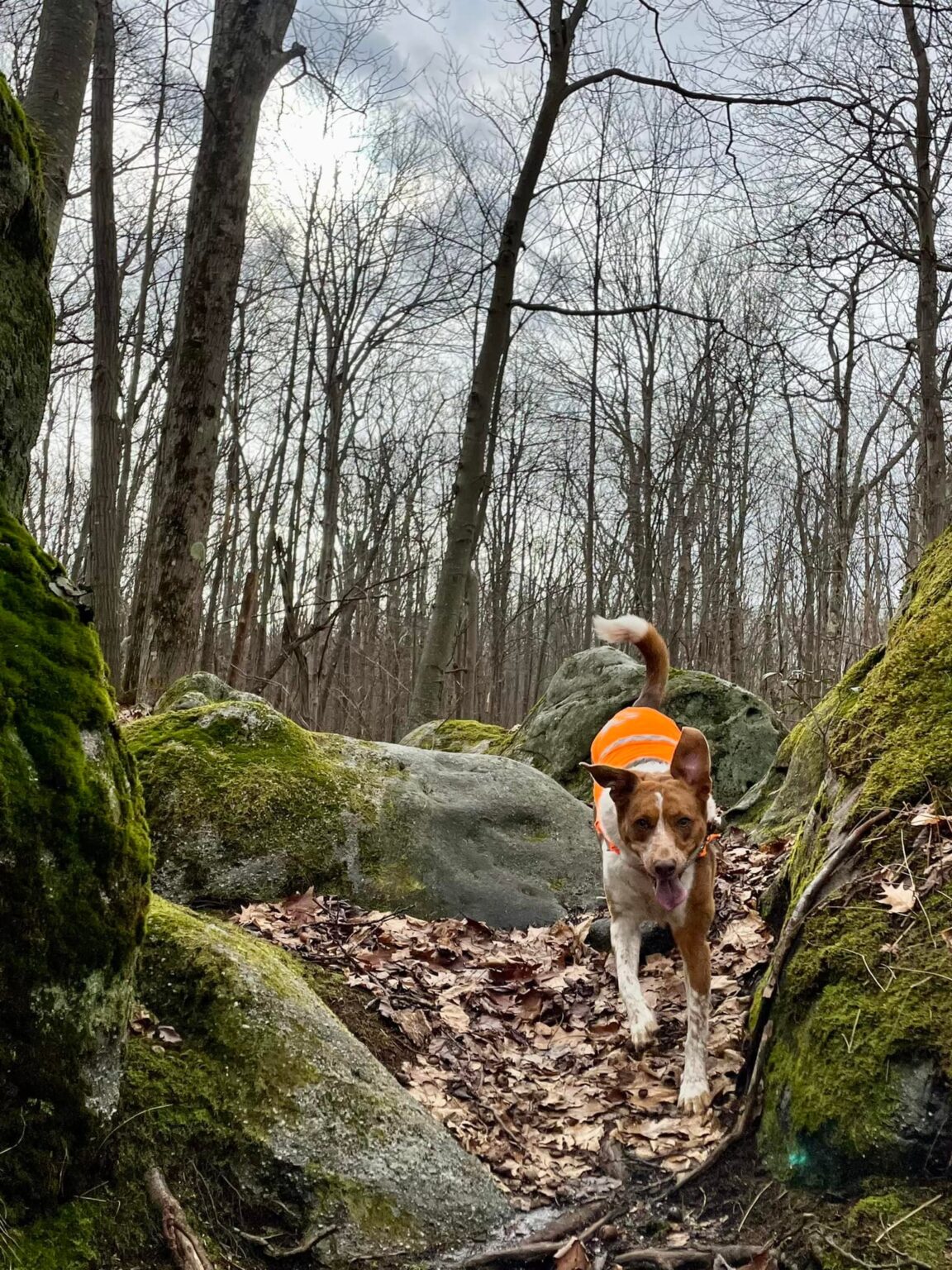 271030056 5310007925694171 1269368578473763704 n 1152x1536