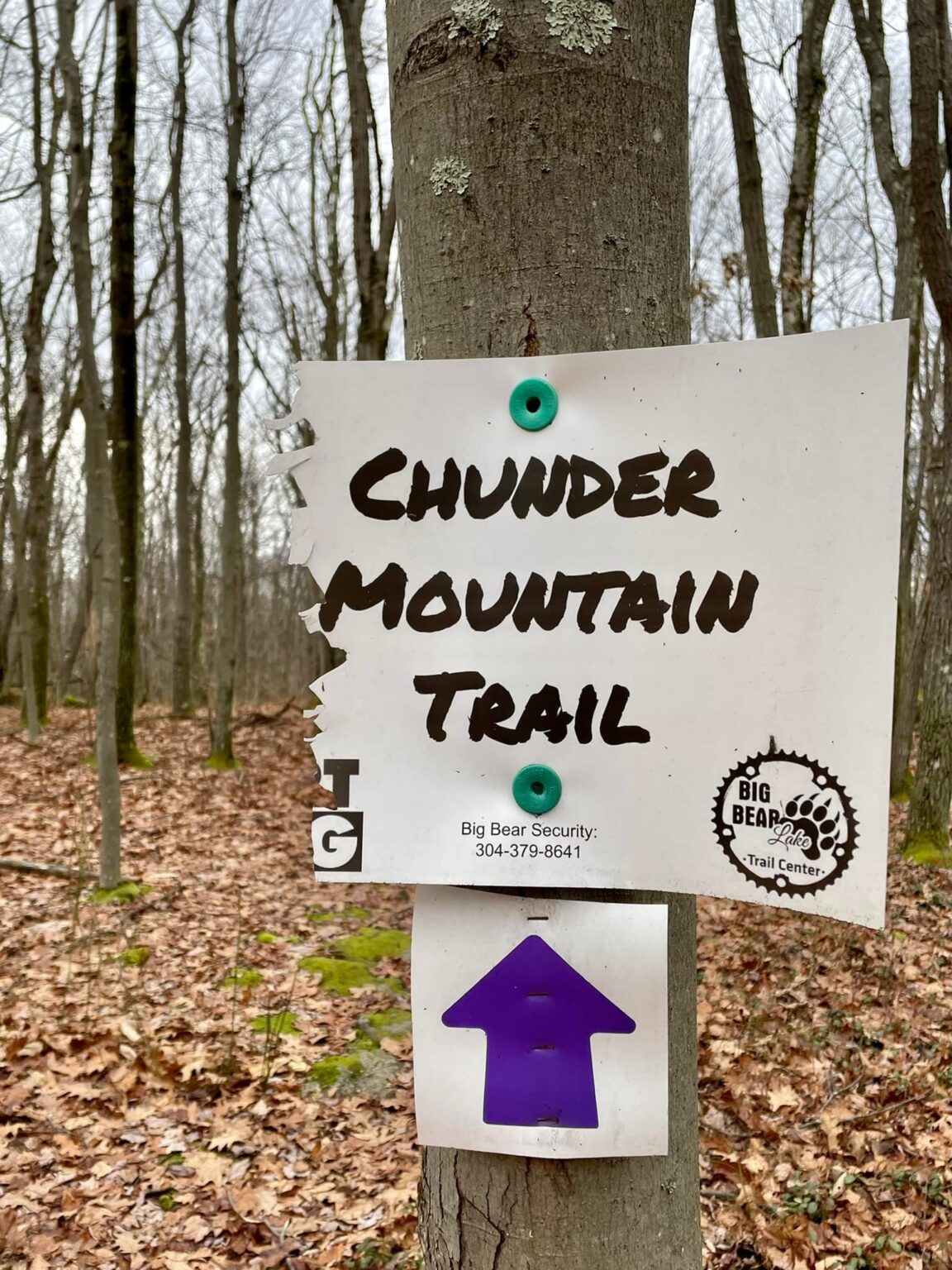 271115003 5310007725694191 8121193235197229003 n 1152x1536