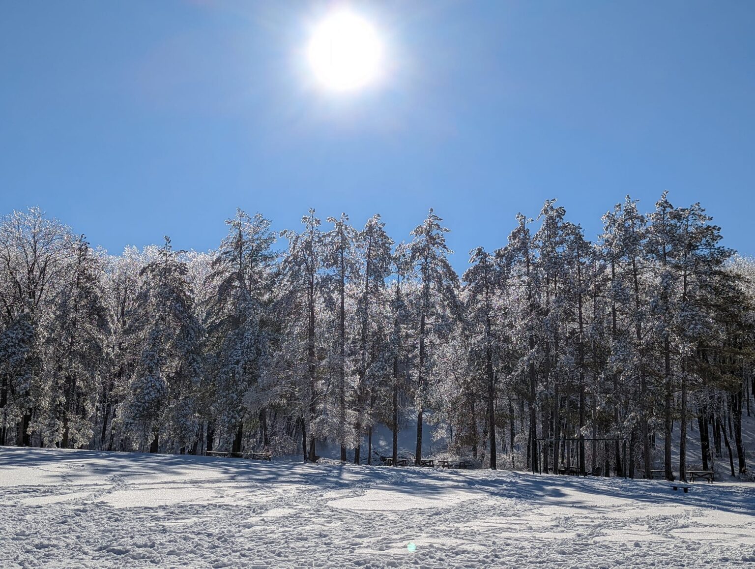 273659933 146244157837515 6488757773242881220 n 1536x1157