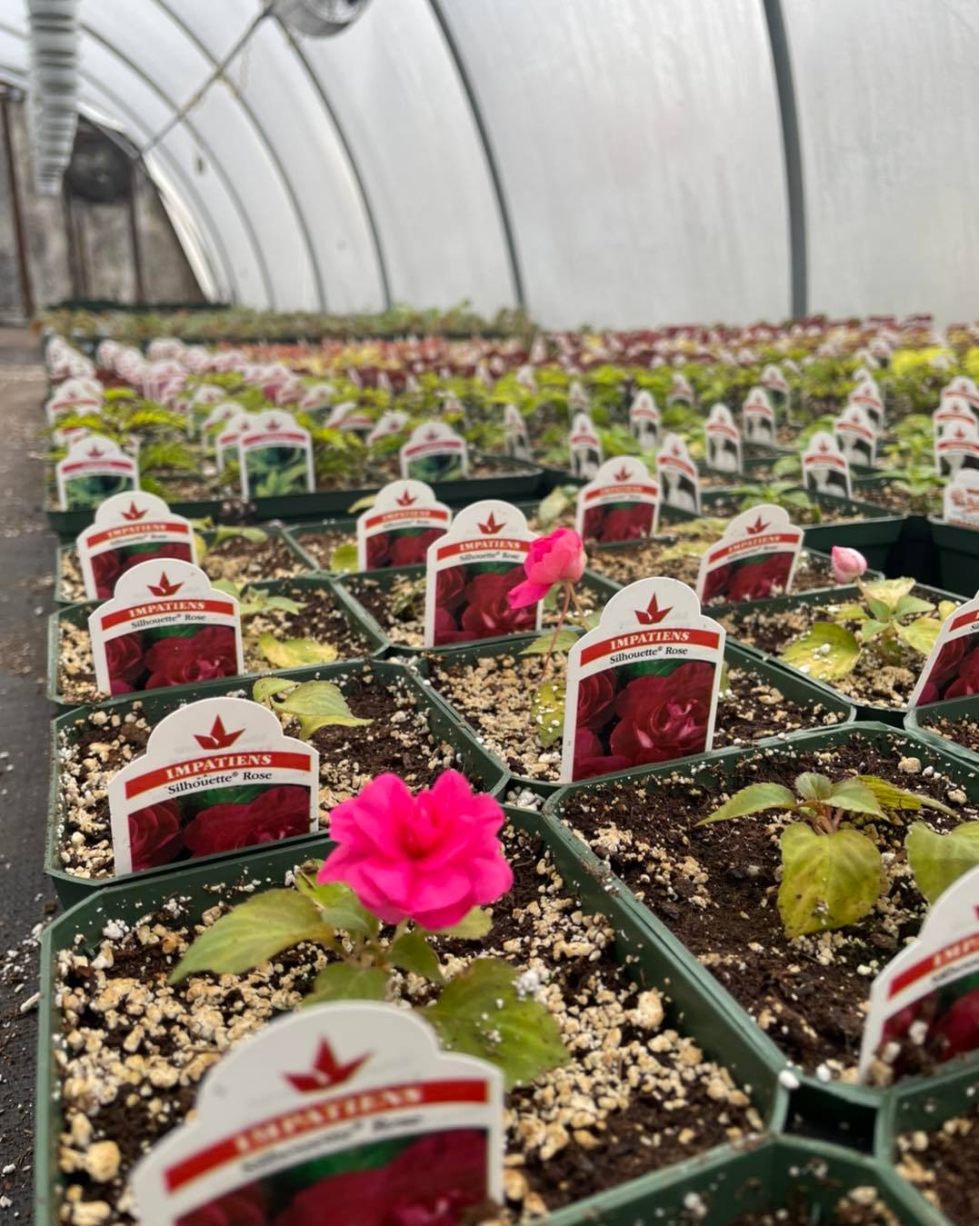 275229118 10160120478657940 3920369926690038617 n