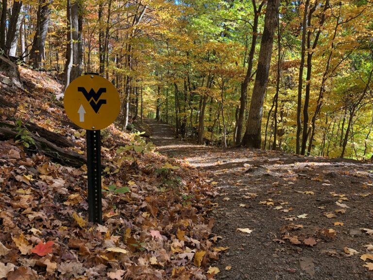 275323237 5008153179244526 7627190341472914664 n 768x576