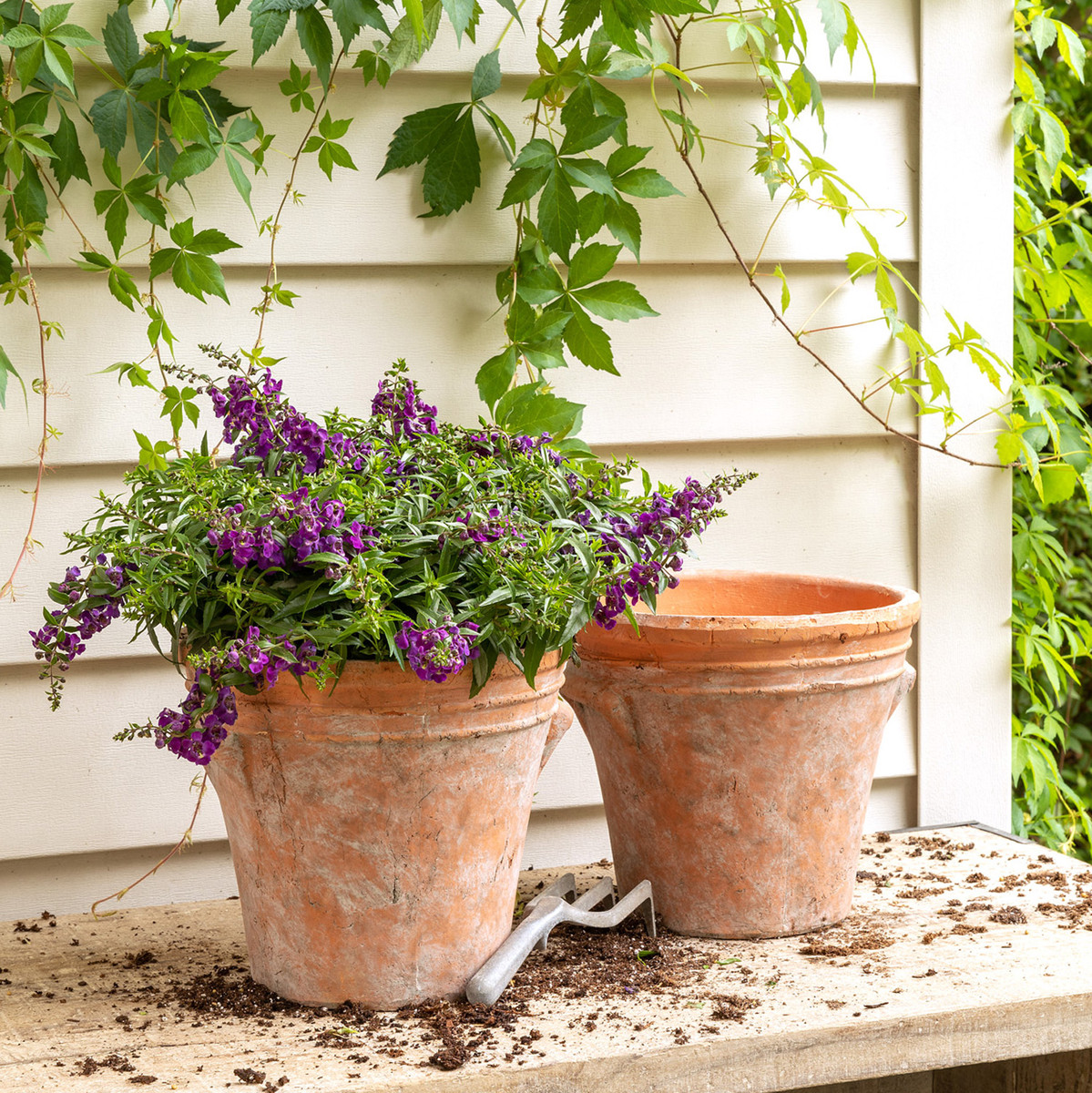 275603752 10160129250467940 2533583802549692672 n