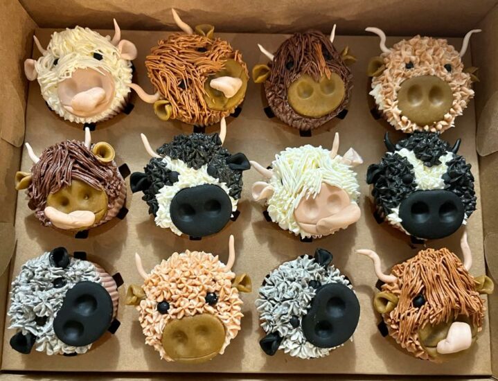 279211192 157196530107781 5883117431801536376 n 719x550 1