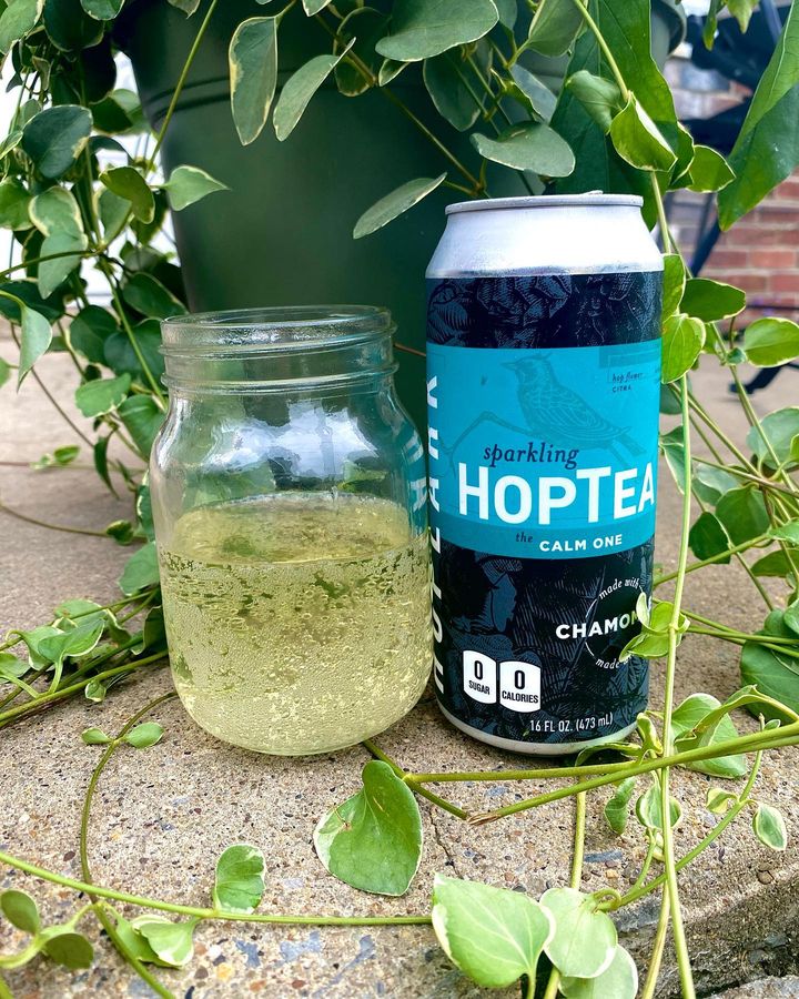 287071931 5467991779911055 5676658056600754600 n 1