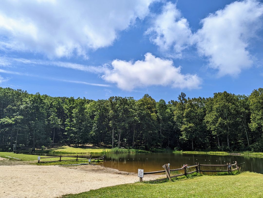 293055462 184486130679984 5381276223658046794 n