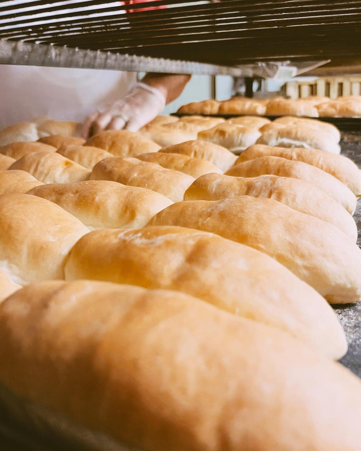 301478781 522470469882203 8765193490718266851 n 1229x1536 1