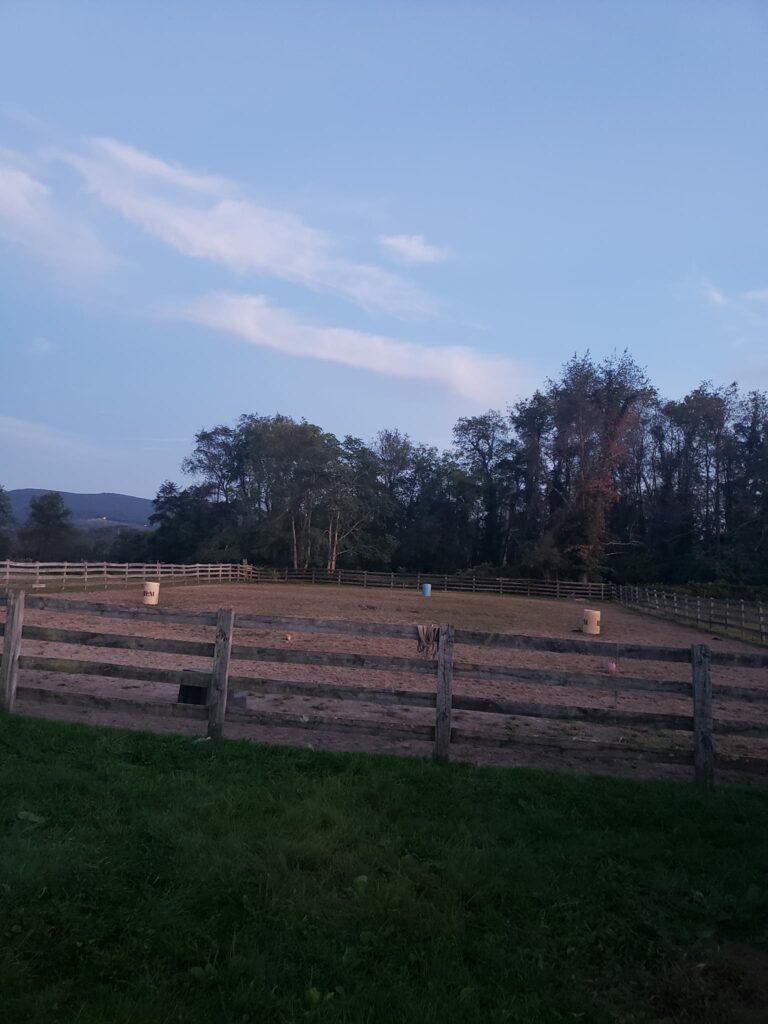 309460129 133443142769113 6432042225541335772 n 768x1024 1