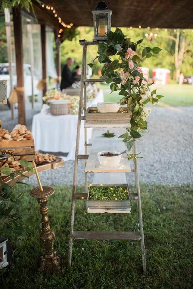 311668375 137569219023172 4296013032584566192 n