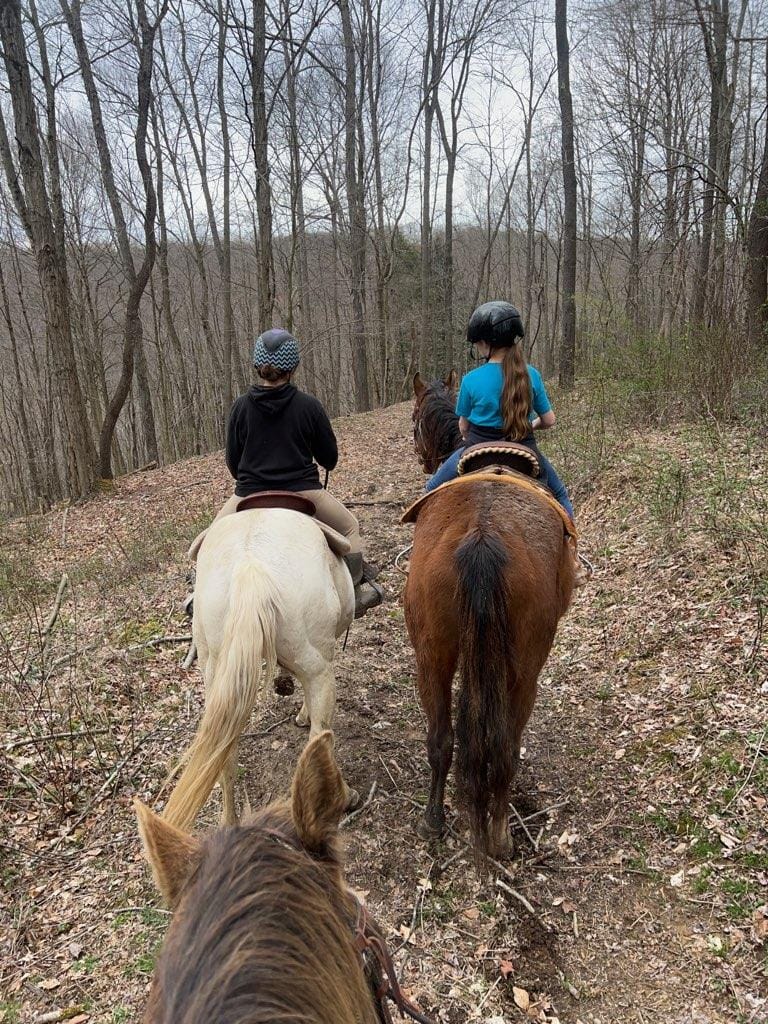 340769158 1353835085162312 5339481178673334752 n