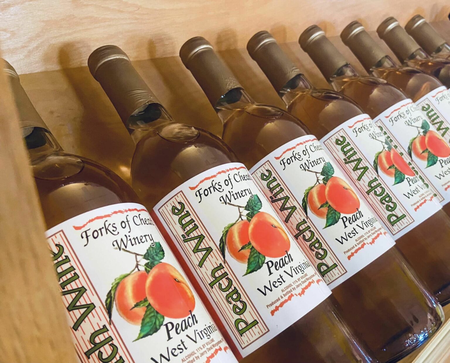 430258330 951263546847276 4679869729269047836 n 1536x1239 1