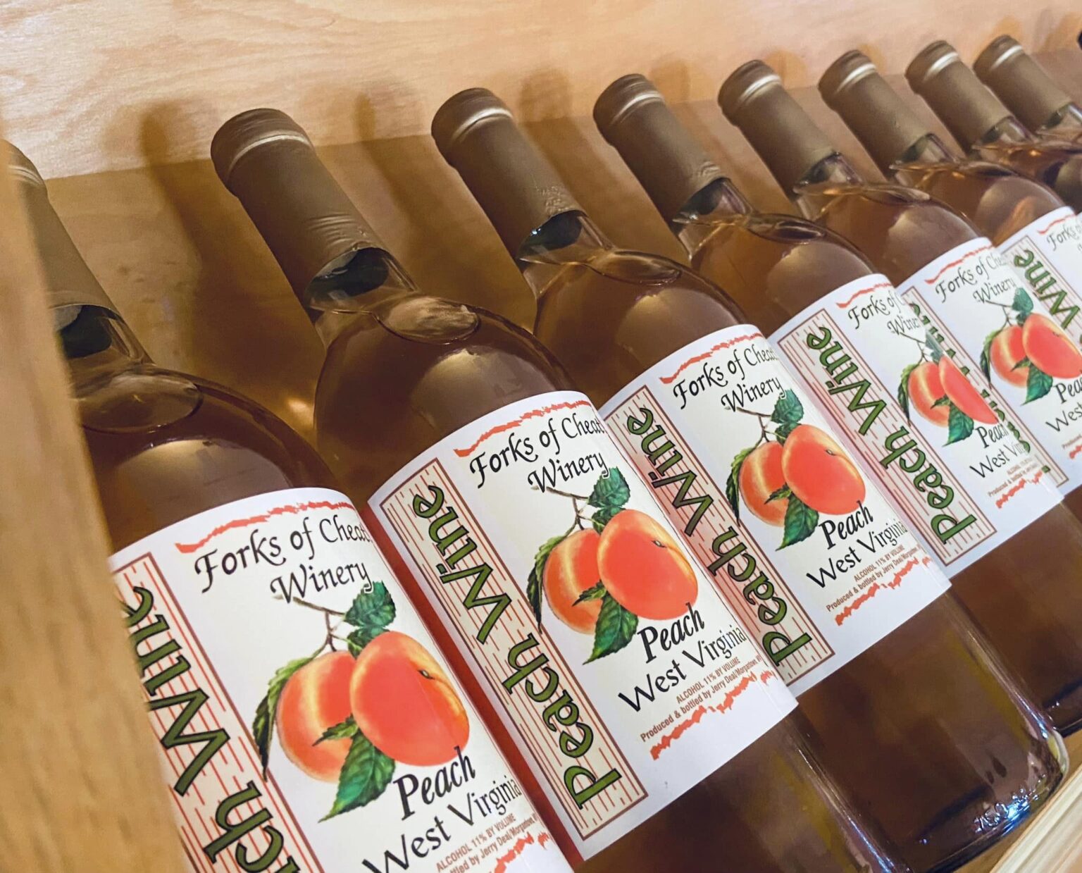 430258330 951263546847276 4679869729269047836 n 1536x1239