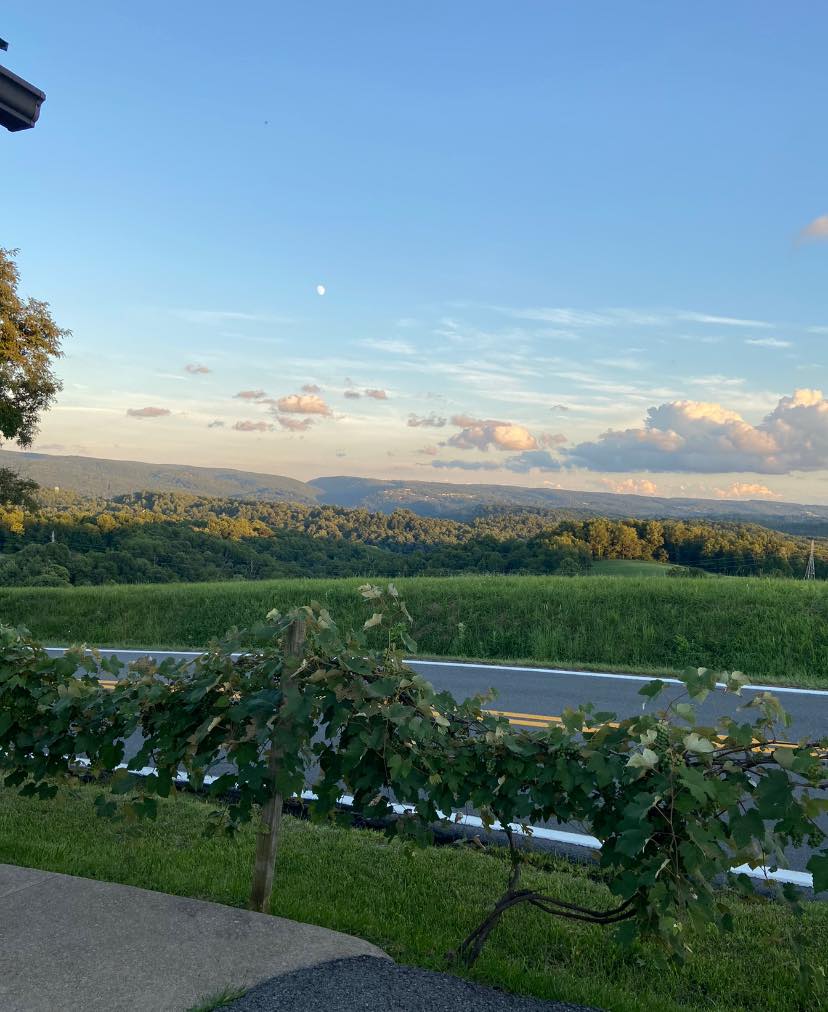 434490233 971273288179635 6966040672869461170 n