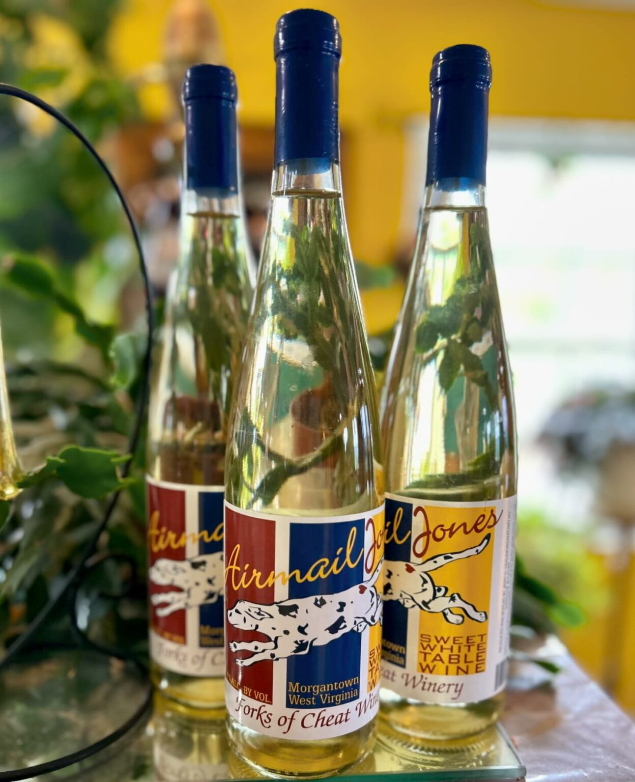 440263796 995875359052761 831268505186533079 n 1248x1536 1