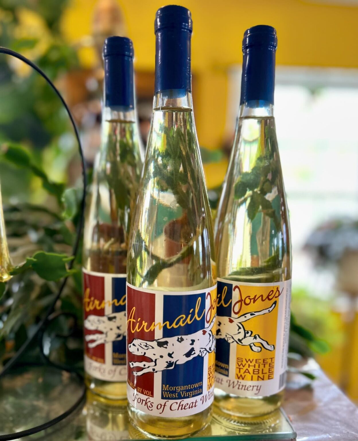 440263796 995875359052761 831268505186533079 n 1248x1536