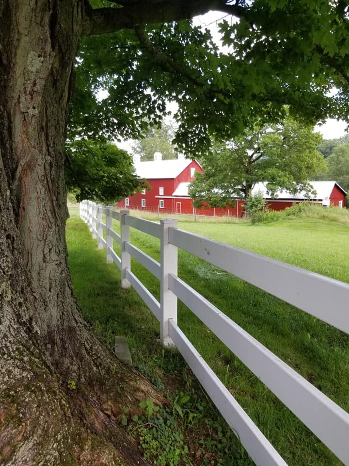 66500998 2373597472896310 6387340015306801152 n