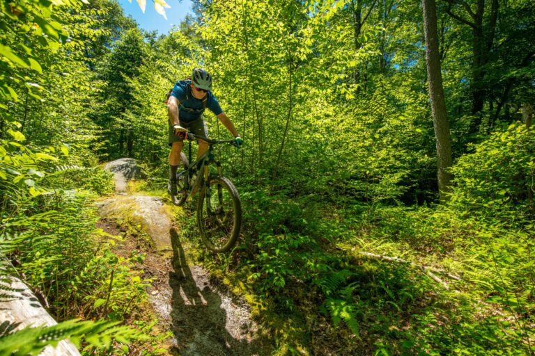 Big Bear Trail Center Summer ride scaled 1 768x512