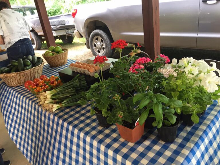 Grafton Road Farmers Market Food table 768x576