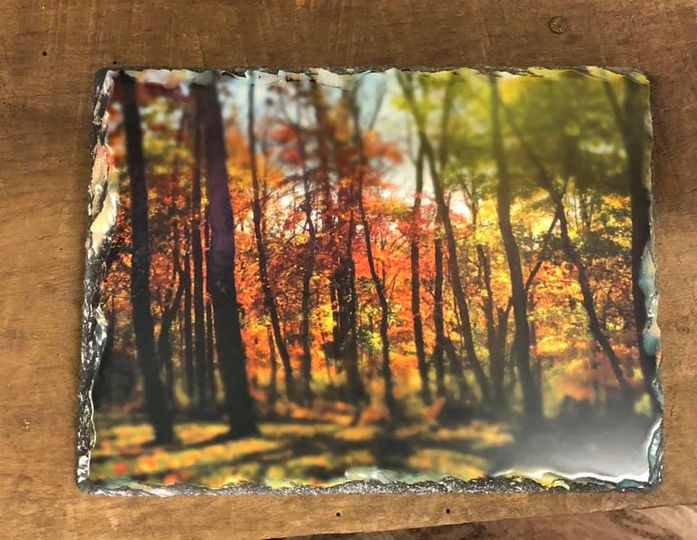 Rock Photo Slate Fall 1