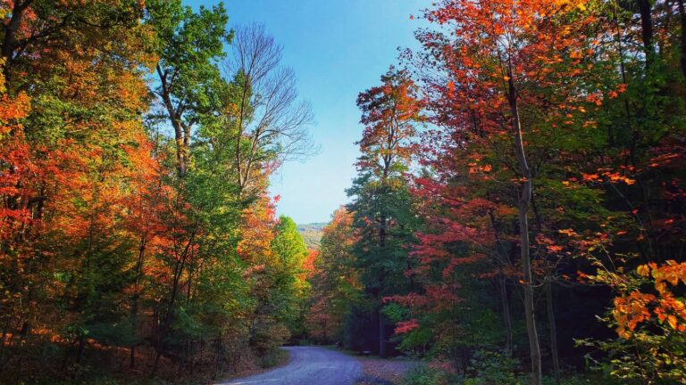 atravelingspirit924 Instagram 3205 ig 18039945007273933 768x432