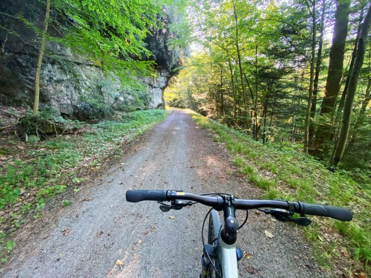 deckers creek wv mountain biking 733x550 1