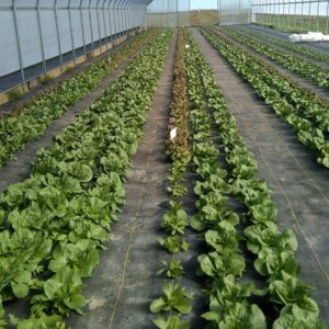 heirs farms 300x300