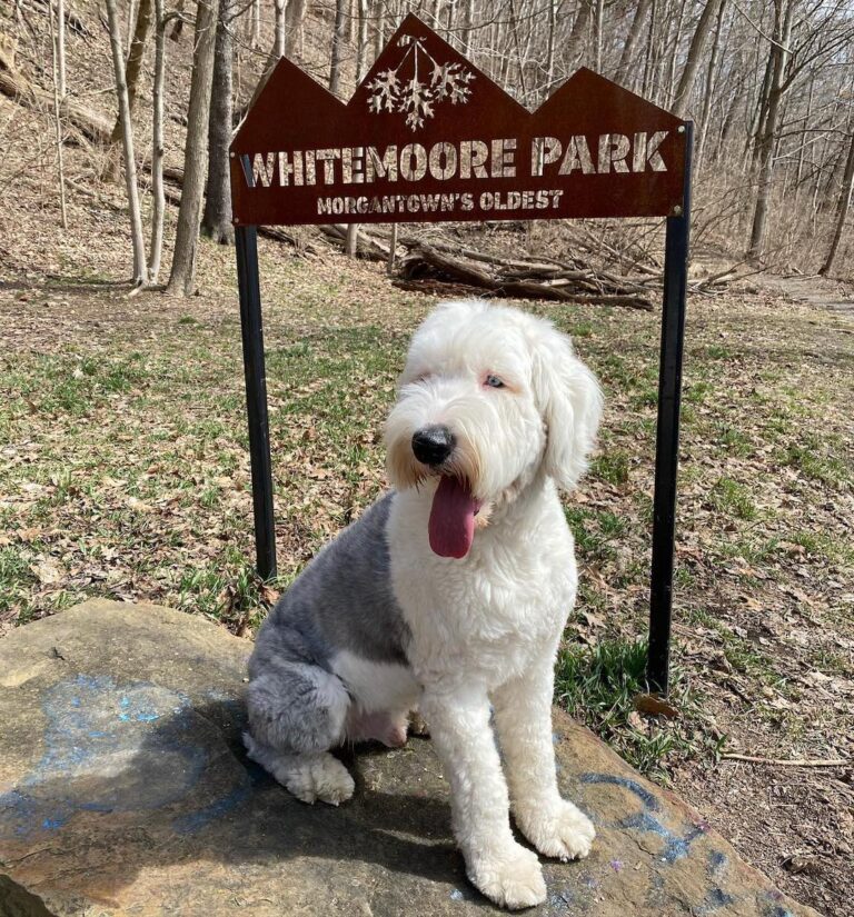 max the mountaineer Instagram 3205 ig 17947397779442290 768x825