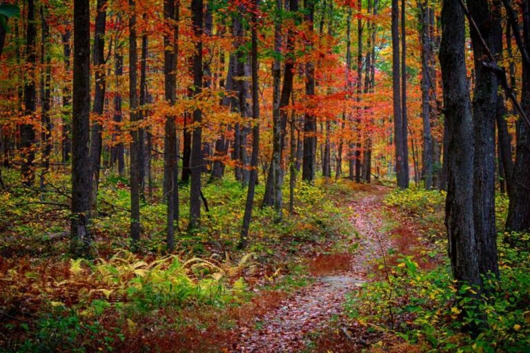 simmons89photography Instagram 3205 ig 17889738586710716 1024x683 1 768x512