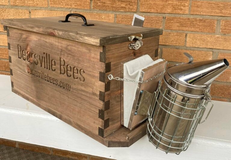 284078105 128203559839804 3549649163623529596 n 1536x1064 1 768x532