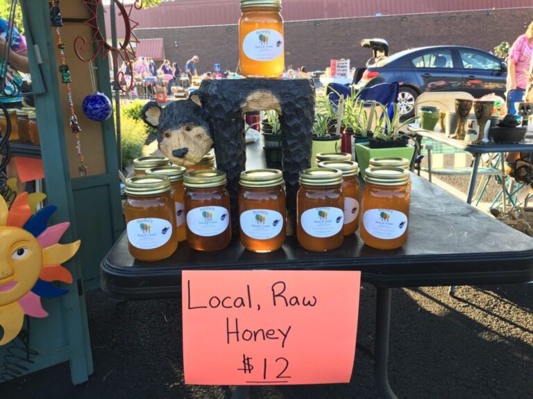 299798987 432867072196525 9087906596571351608 n 1536x1152 1 768x576