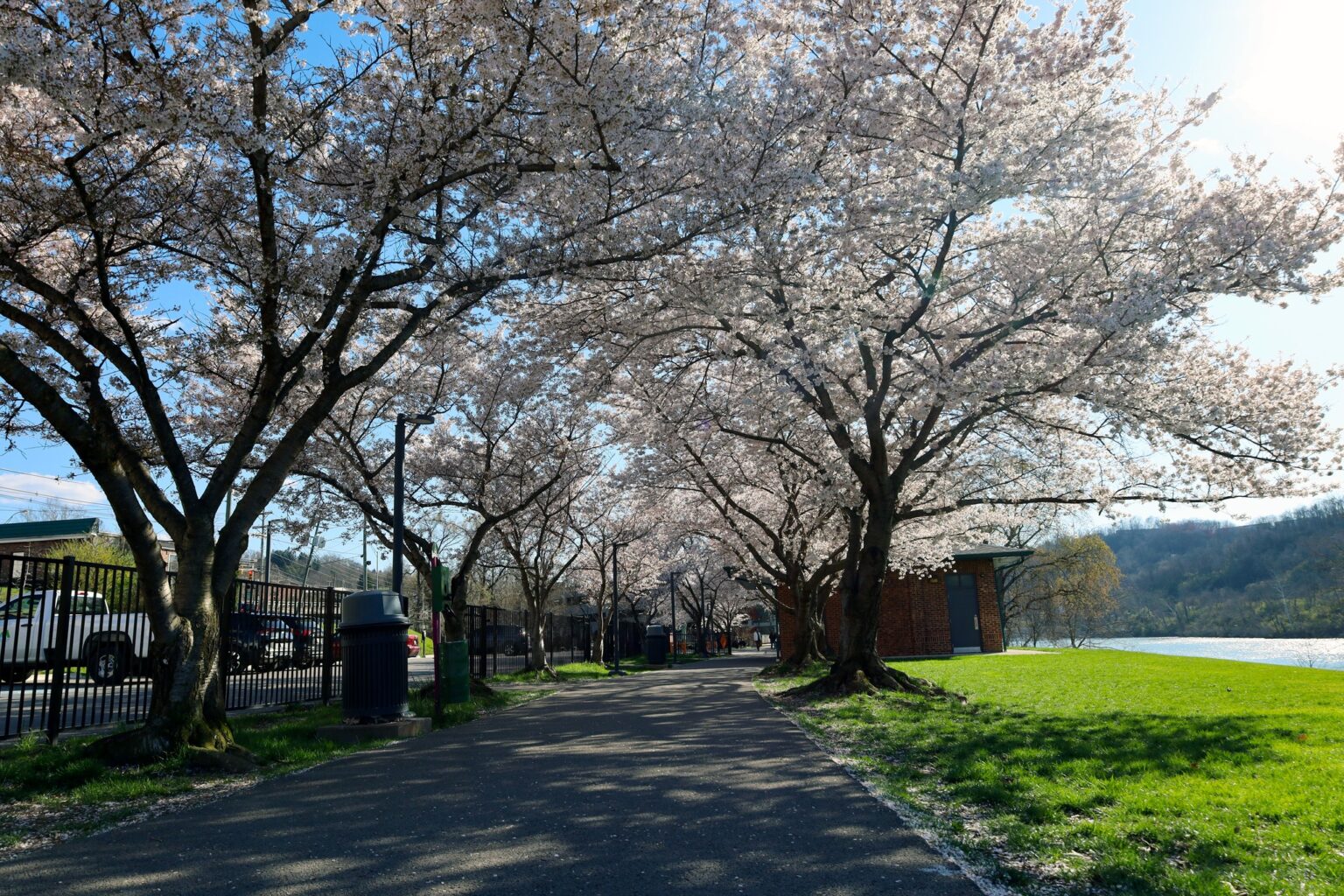 434969584 733270398960351 8274572182634012067 n 1536x1024