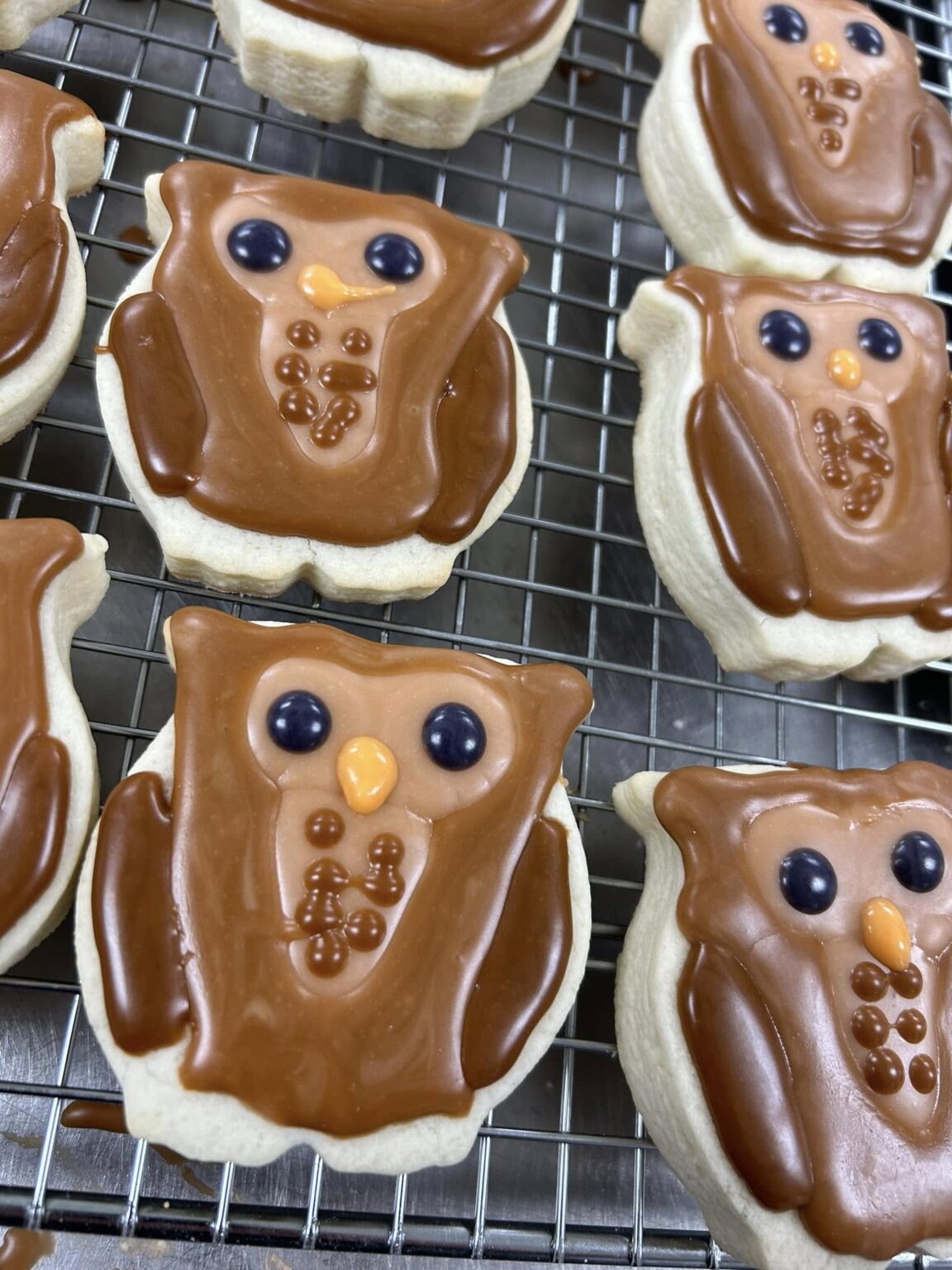 458751943 10234563801021026 4758584764050561781 n 1152x1536 1