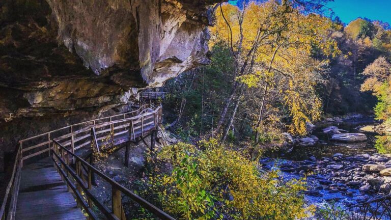 Audra State Park 768x432