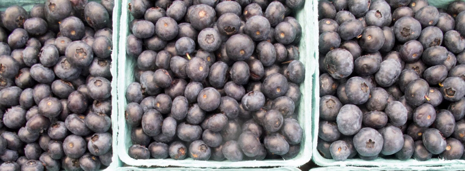 blueberries3 orig orig 1536x567