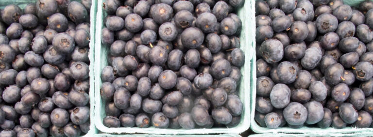 blueberries3 orig orig 768x283