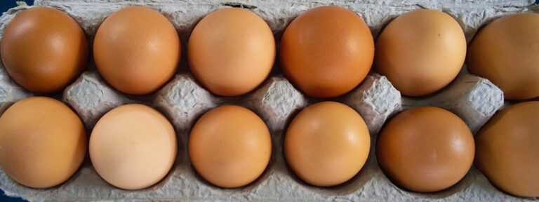 market6 orig orig 768x288