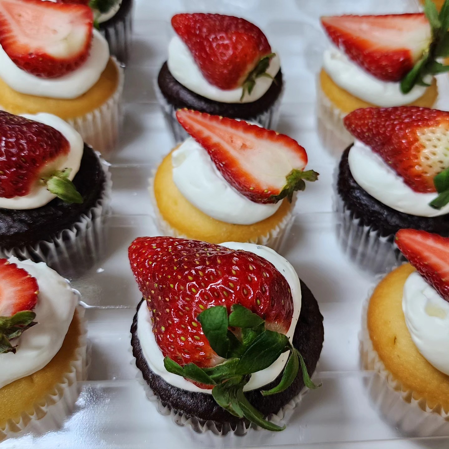 406819138 886718283039717 4383916798689754493 n