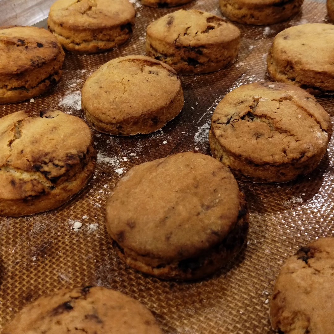 458165658 1000992845370405 8184050829495253294 n