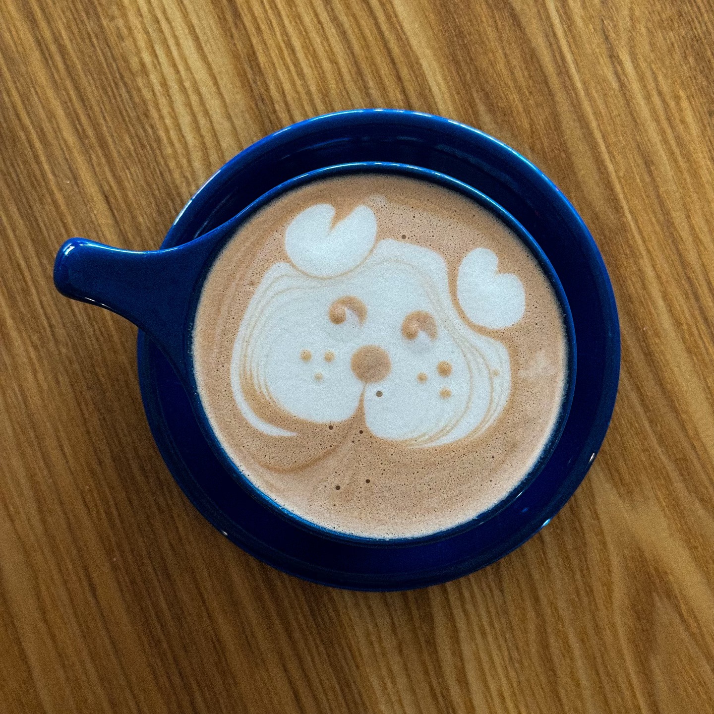 462456185 1055120279955706 7367848241790574607 n