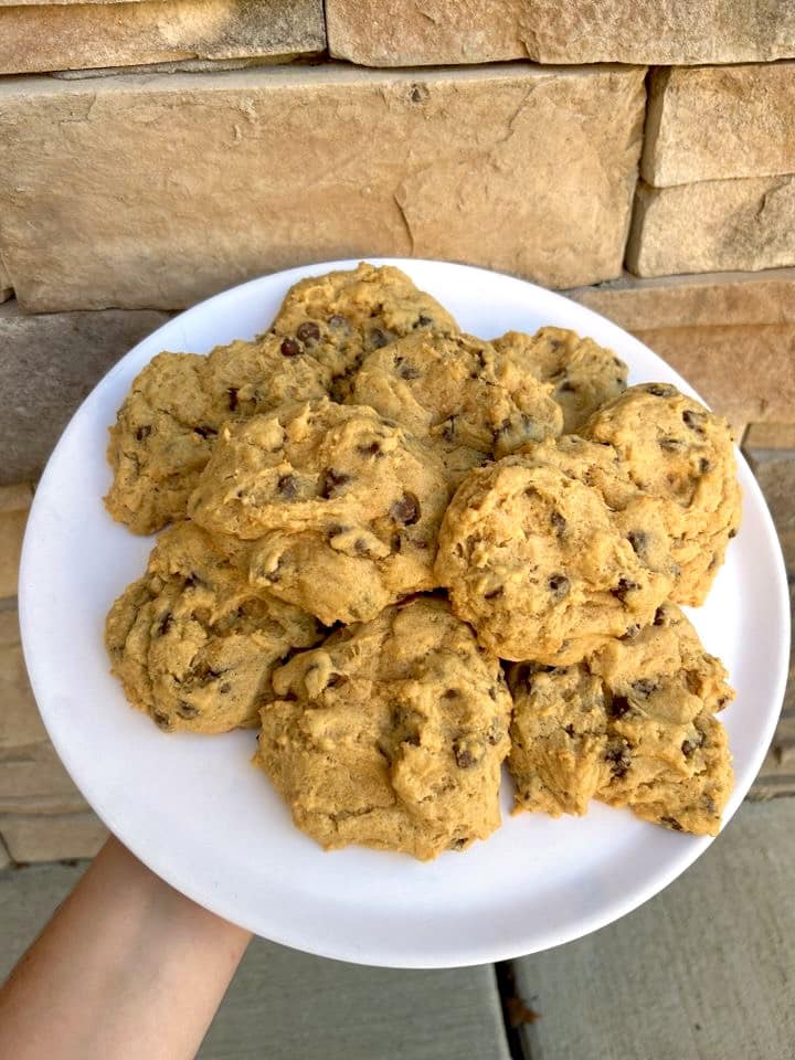 465844837 956232979883237 3198077679866852784 n