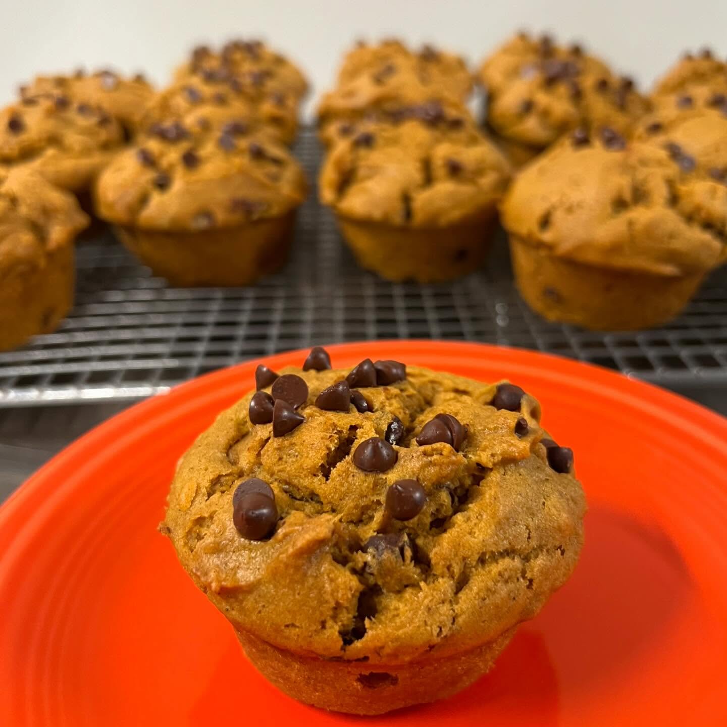 466733892 18472139020021740 2525128899757609047 n