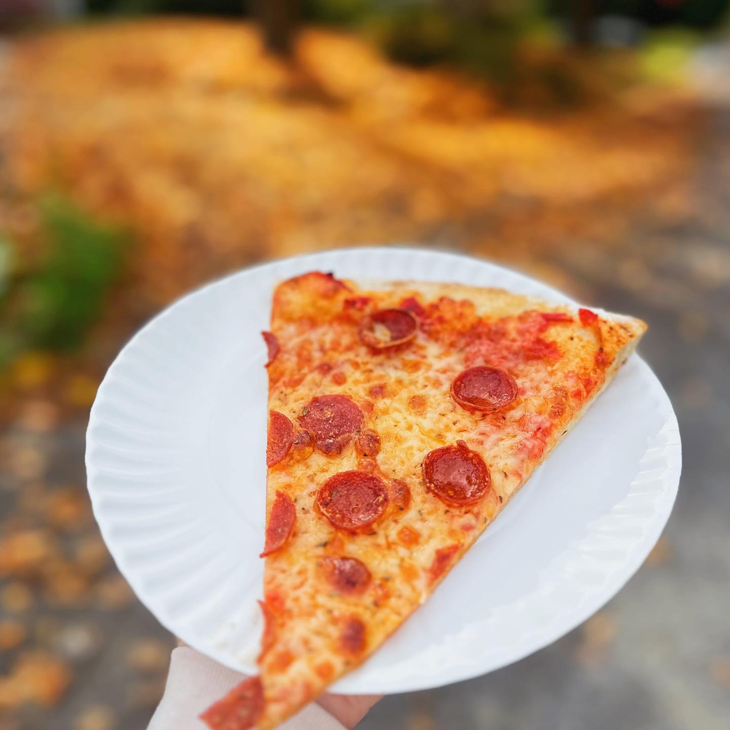 468704628 18348752671130714 5649414574231260105 n